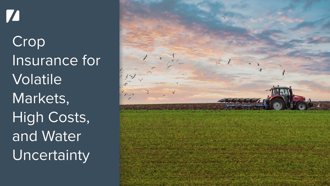 Crop Insurance for Volatile Markets, High Costs, and Water Uncertainty