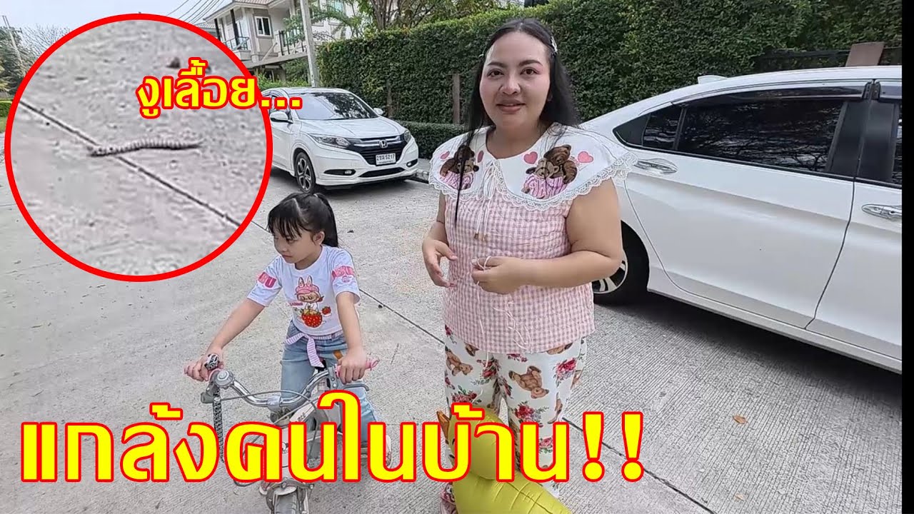เเกล้ง งูเลื้อยมาข้างหลังคนในบ้านจะตกไหม 