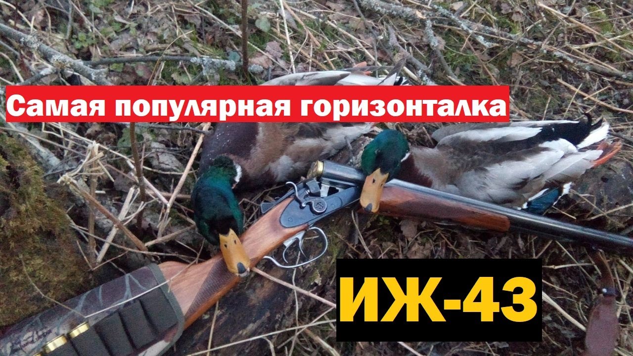 💥 ИЖ-43 Самая продаваемая горизонталка в РФ!