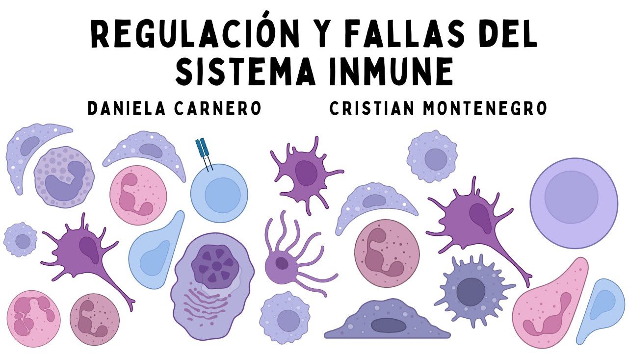 Regulación y fallas del sistema inmune