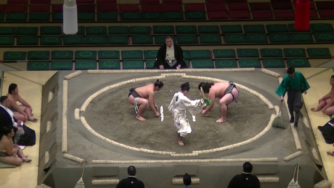 鯱ノ富士　琴浦崎　序二段注目力士　初日　九月場所　2018