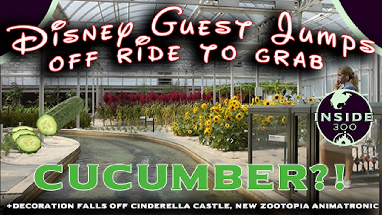 Disney Guest JUMPS From Boat Ride to Try and Grab Cucumber / Decoration Falls Off Cinderella Castle