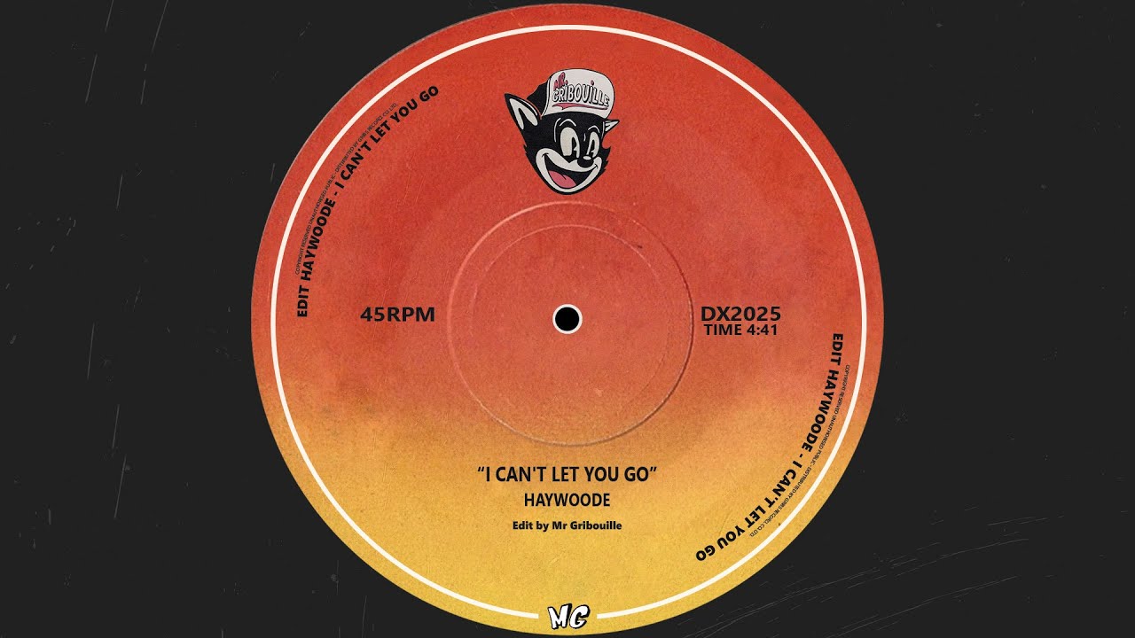 Haywoode - I can't let you go (Edit Mr Gribouille)
