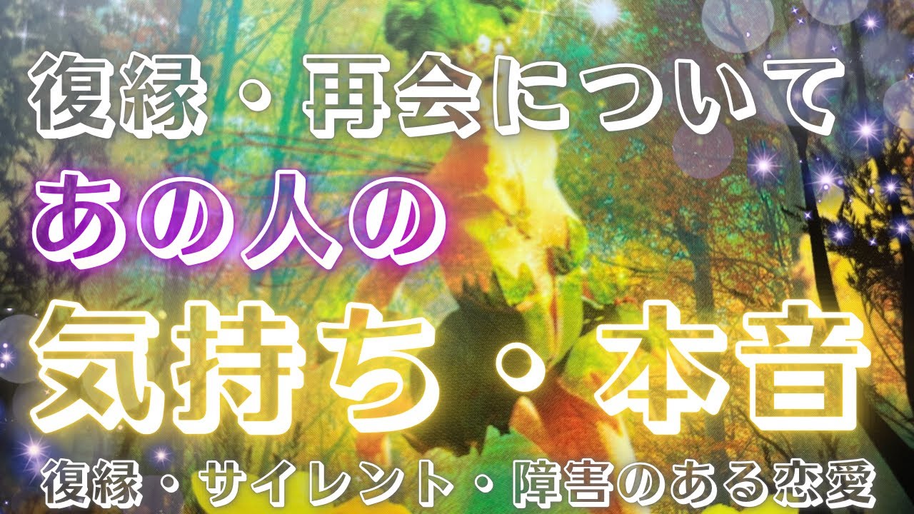 【お気持ち熱弁🤗】復縁・再会についてのお気持ちを代弁💗✨🕊恋愛・復縁・サイレント・曖昧・複雑恋愛【タロット・オラクル・ルノルマン】