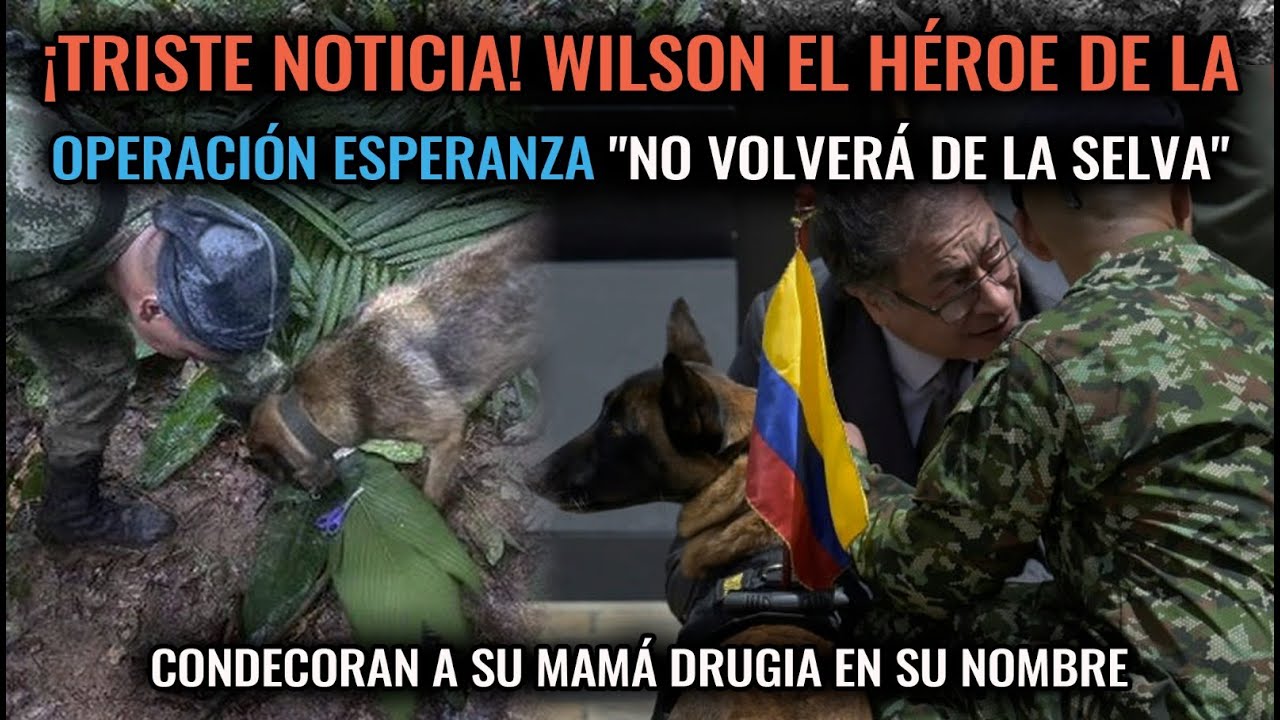 Wilson el h&eacute;roe de la Operaci&oacute;n Esperanza 