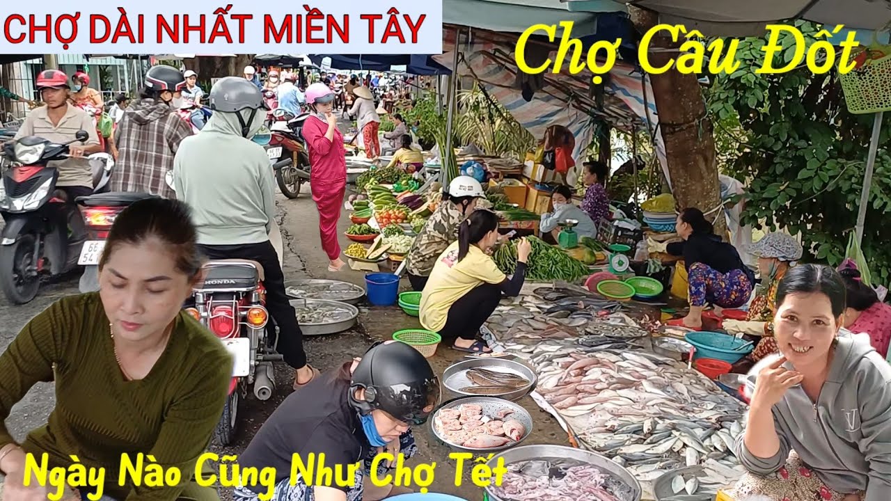 Đông Khủng khiếp CHỢ CẦU ĐỐT - Sa Đéc Đồng Tháp - đi hoài không giáp ngập tràn tôm cá