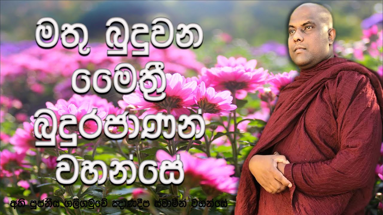 මෛත්‍රී බුදුරජාණන් වහන්සේ මතු බුදු වන ආකාරය | Ven Galigamuwe Gnanadeepa Thero