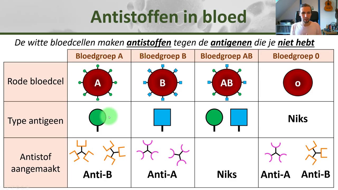 Bio - Bloedgroepen en bloedtransfusie - Gezondheid #10