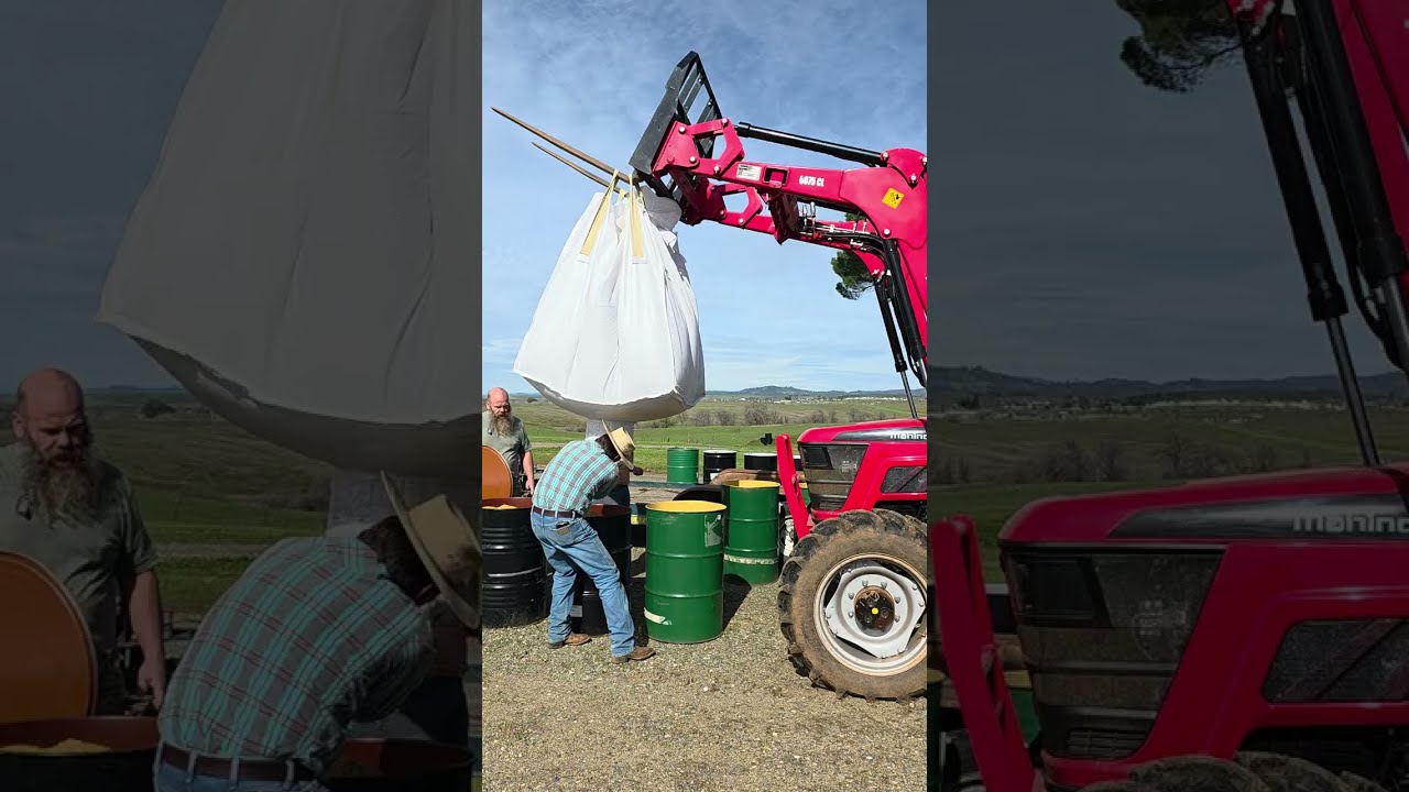 Neighborhood Grain Day. 5 Tons of steel feed.