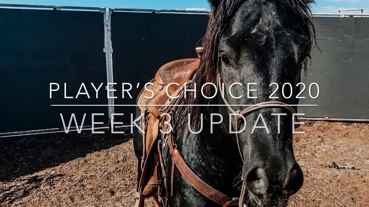 Player’s Choice Extreme Mustang Makeover Week 3 Summary