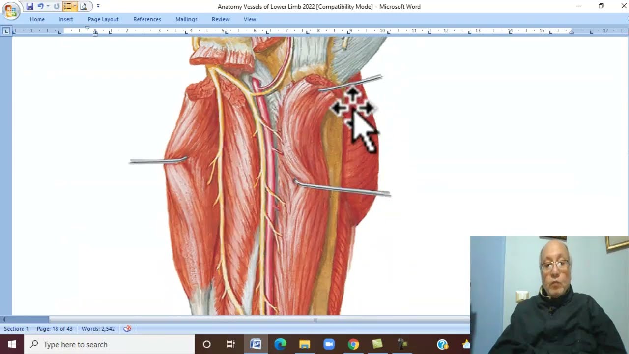 Musculo-skeletal Module ,Anatomy of Lower Limb in Arabic 34( Anterior tibiall artery  )