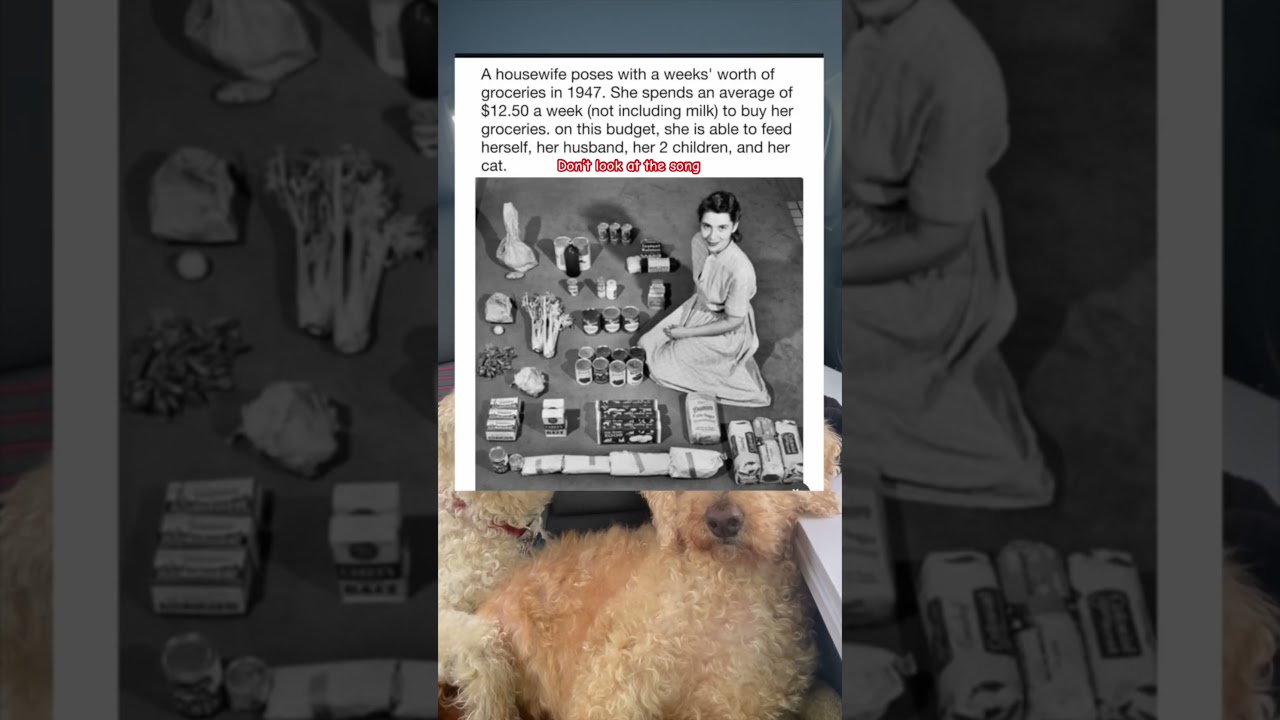 It was different times #memepics #dogmemes #memes #funnyimages #groceryshopping #memepages
