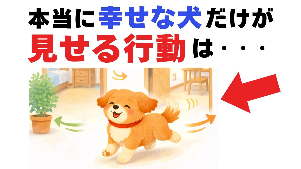 【犬の幸せ】この家で良かった！愛犬が今の生活に心から満足している証拠４選