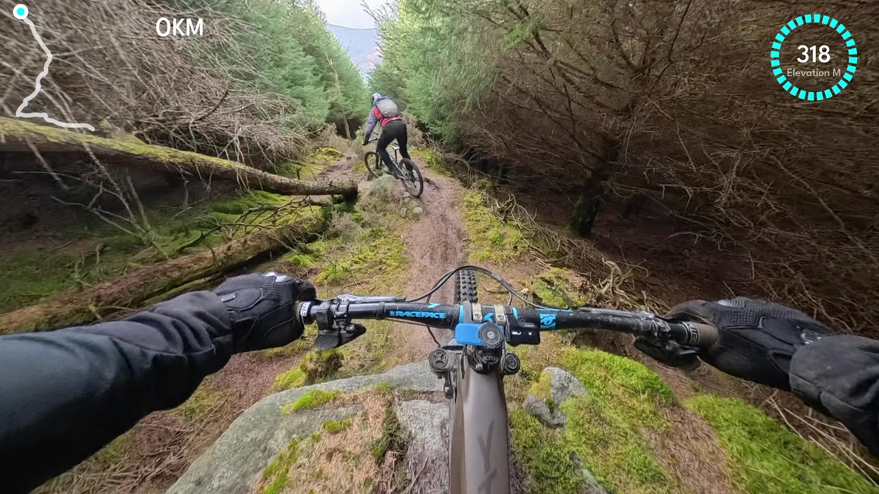 Springy, Loamy Vibes are back.