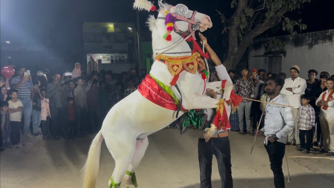 Chinnamandem | Dargah | Urs | Sandhal | Horse | Dance | Drums Beat