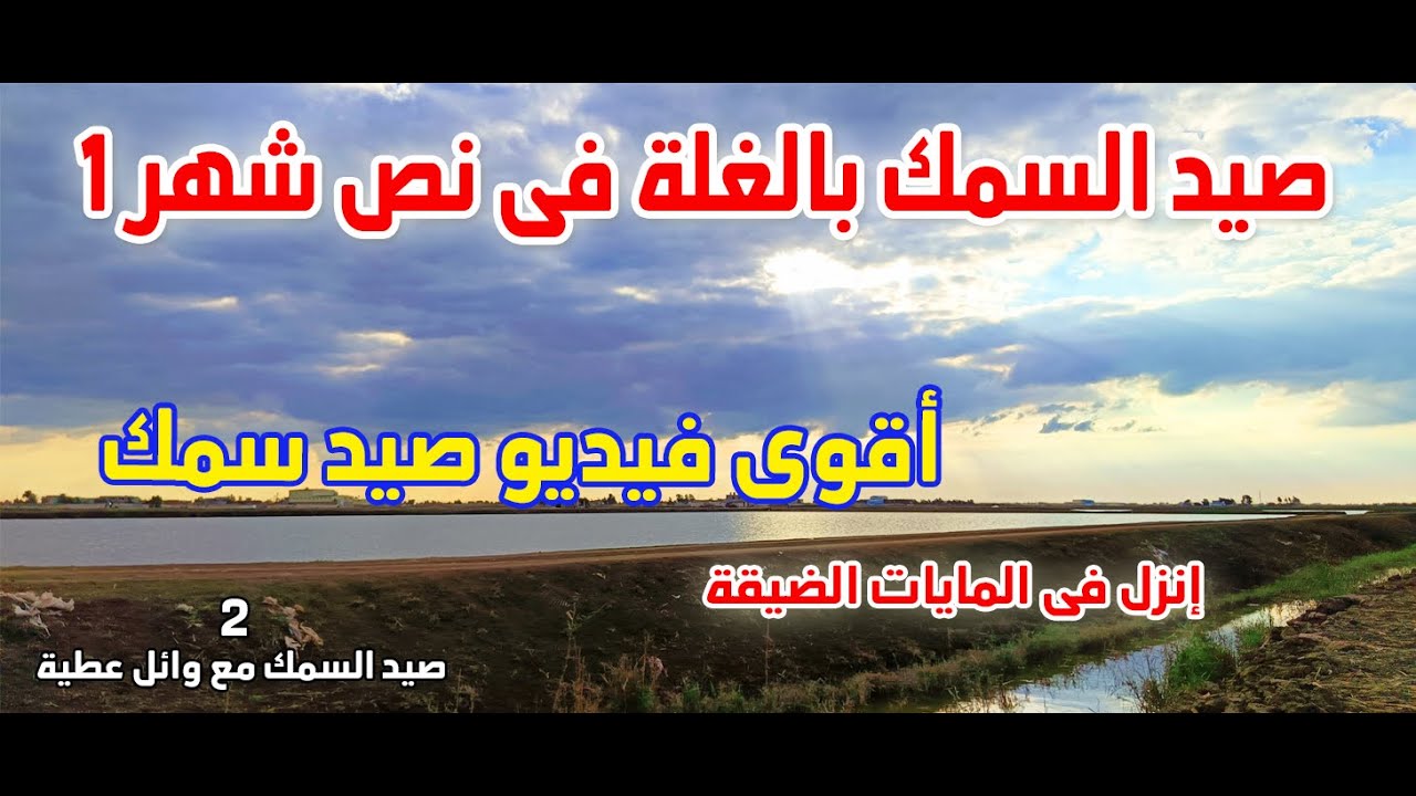 أقوى فيديو صيد بالغلة فى شهر 1على الاطلاق