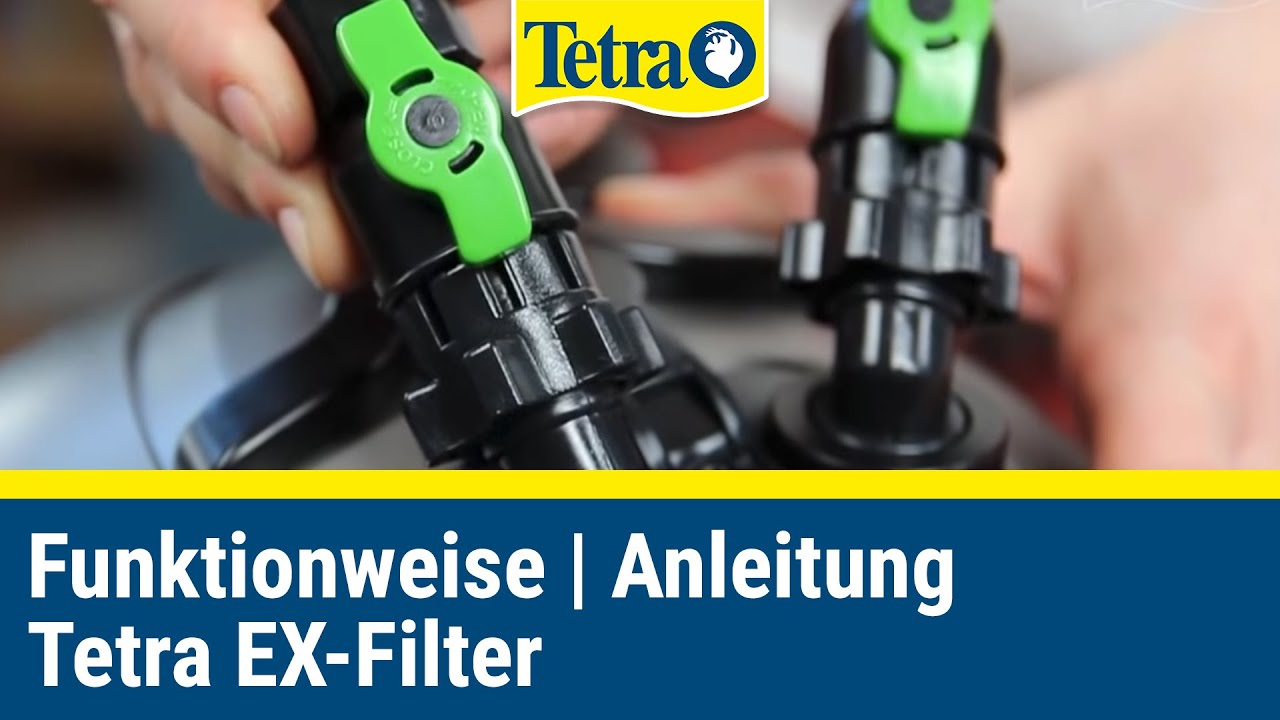 So funktioniert ein Aquarium-Filter | TETRA EX-Filter Anleitung