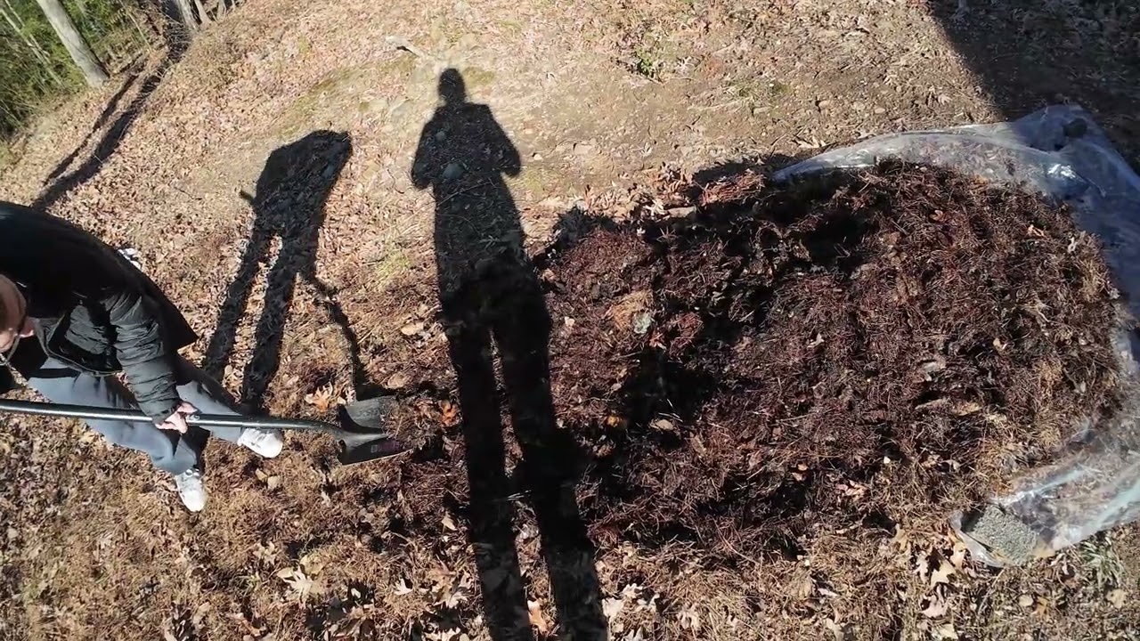 Turning My Trash into Soil: A Weekly Haul #2