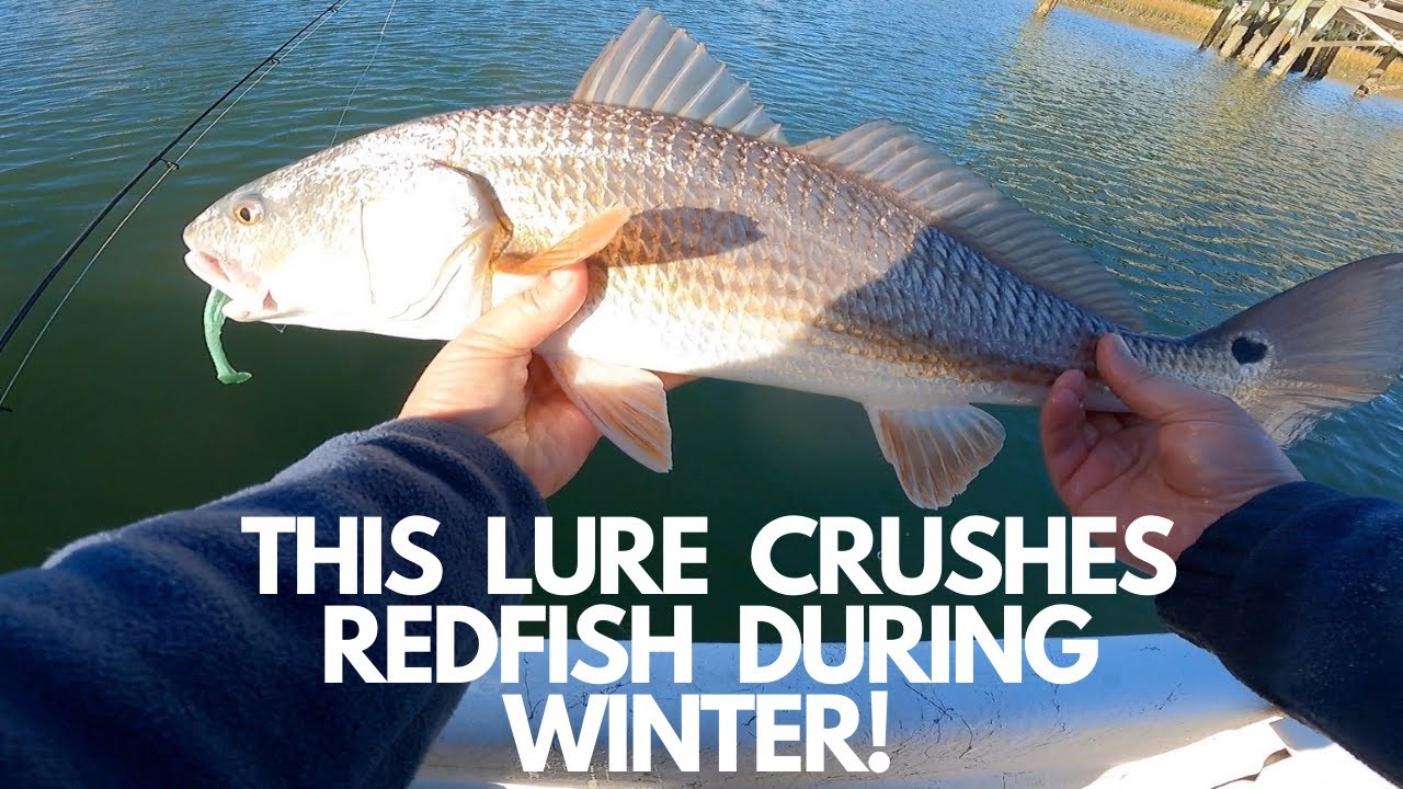 CATCHING REDFISH ON DOCKS USING SOFT PLASTICS in Charleston, South Carolina
