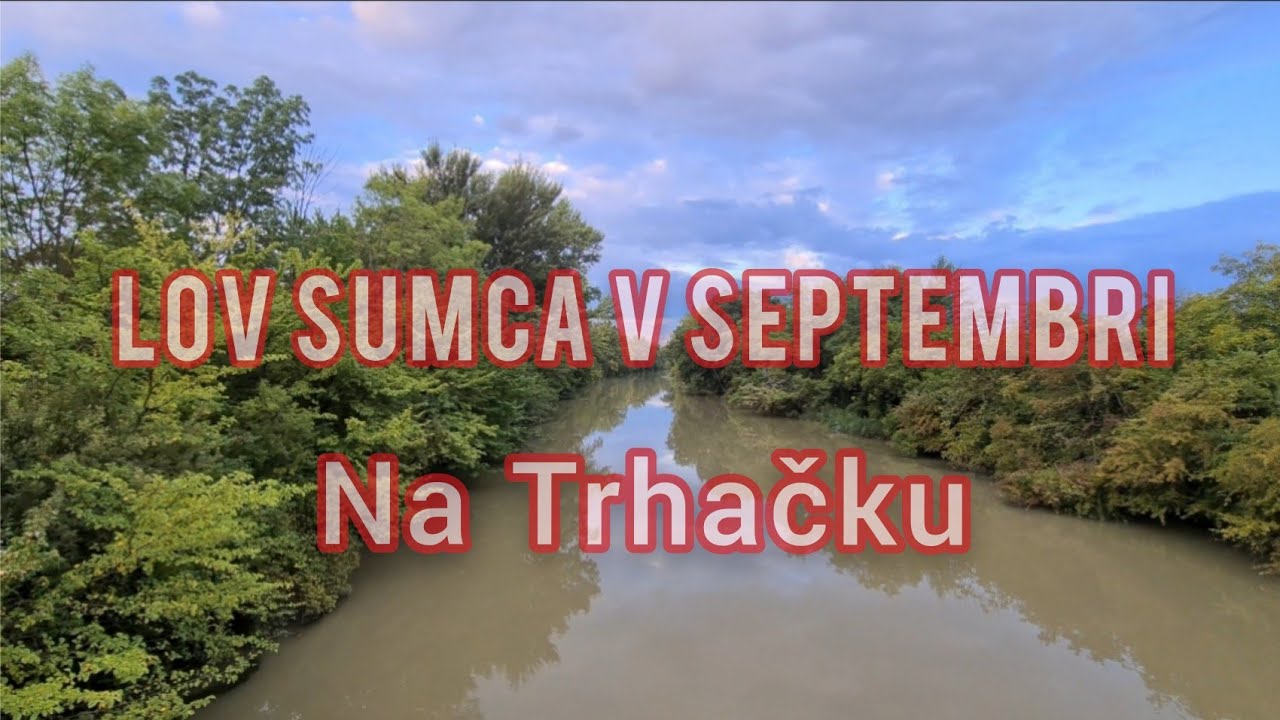 Lov Sumca v Septembri/Lov Sumca na Trhačku/ Posledná výprava na Sumca 2021/ Cat Fishing/