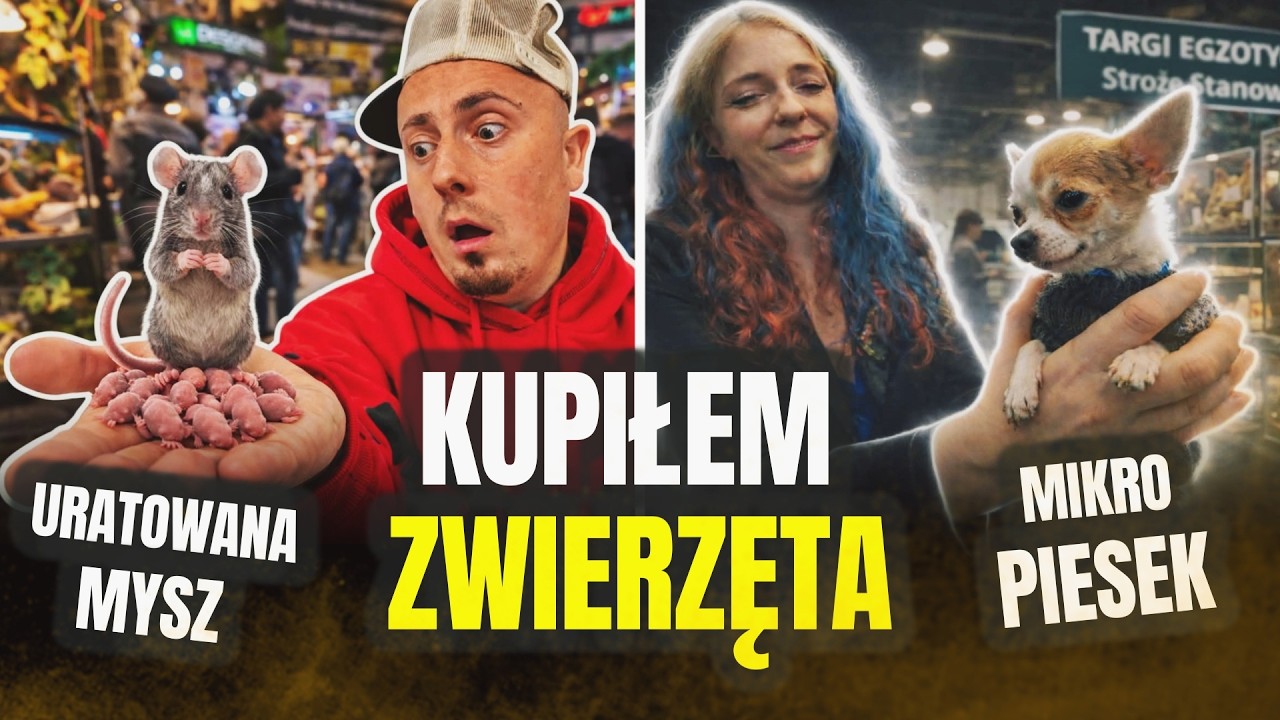 🐁 KUPIŁEM RÓŻNE ZWIERZĘTA NA TARGU 🐁 uratowane życie ! odc. 854