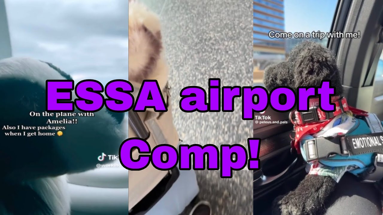 ESSA airport outing comp!￼