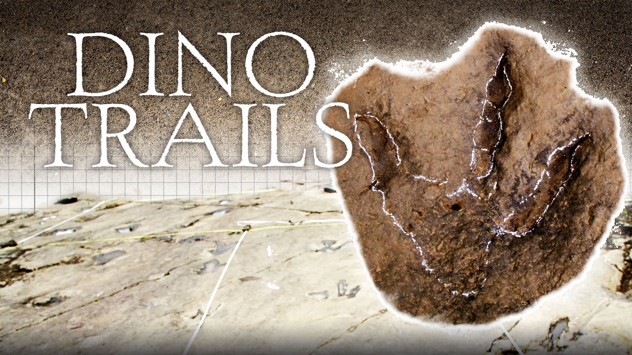 Dino Trails - Episode 5 - British Columbia's Dinosaur Frontier