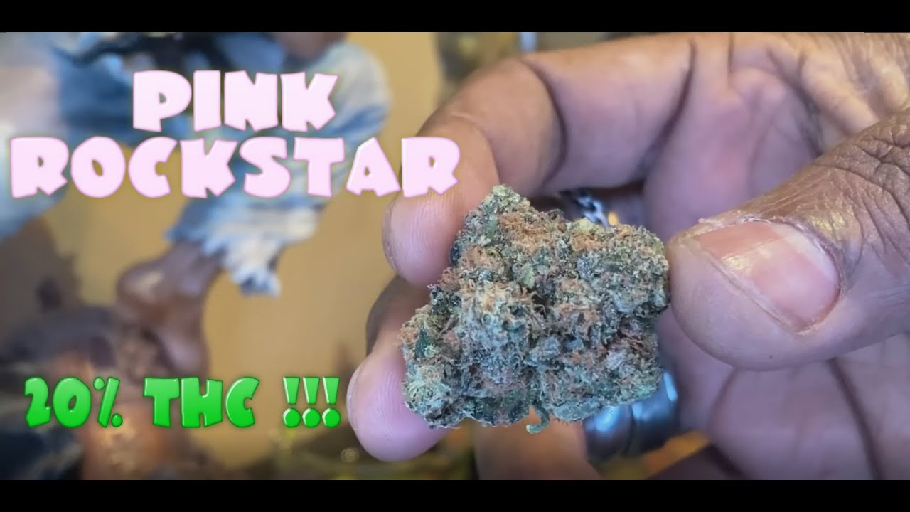 Weed Smoking Session #28 - Pink Rockstar