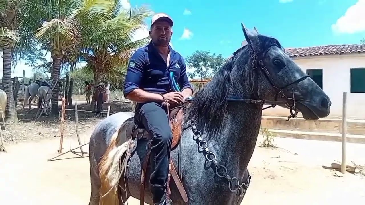 MOSTRANDO A SEGUNDA CAVALGADA DE ANGICAL E SIMEÃO