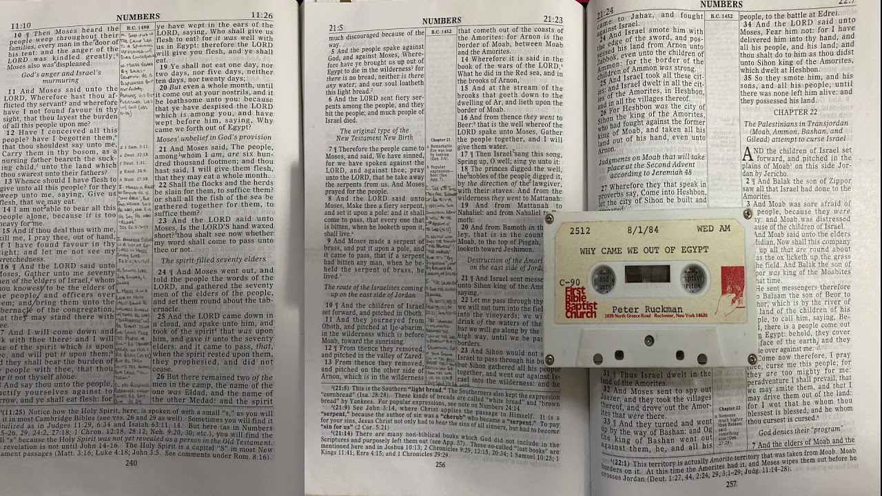 DR RUCKMAN: WHY CAME WE OUT OF EGYPT (8/1/84)