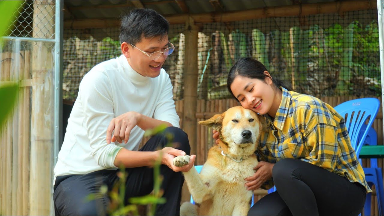 The weak dog returns&hellip; Linda is happy but heartbroken