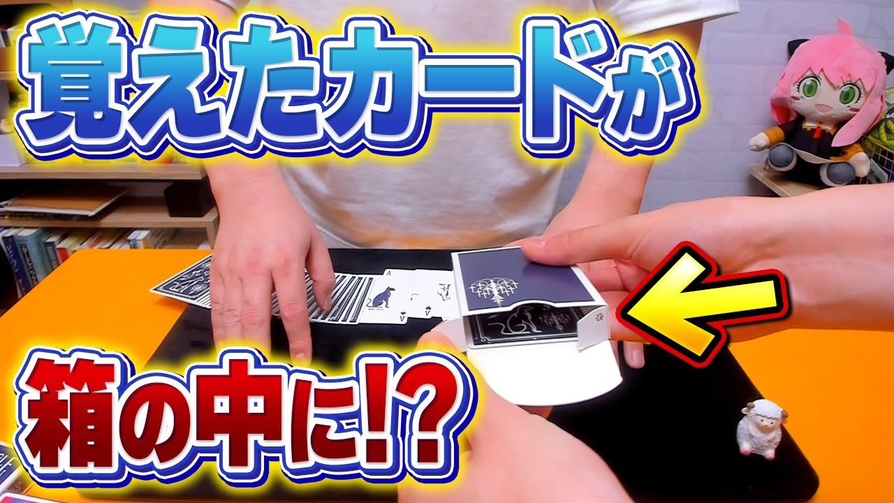 [659]【解説】絶対覚えたい！友達を驚かせるマジックのタネ明かし