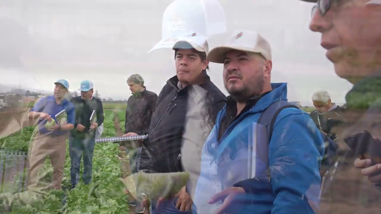 Grower Shares Why Syngenta Lettuce Genetics Make A Difference
