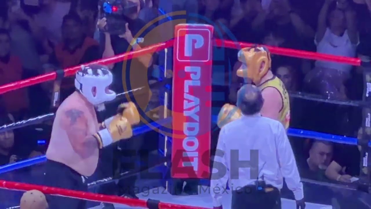 Alfredo Adame Noquea a Carlo Trejo GANA Golden Boy después de 20 años de riña pide revancha 