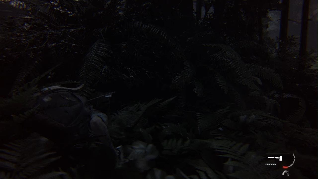 The Last of Us Part II_20260223234525kamspeedy1