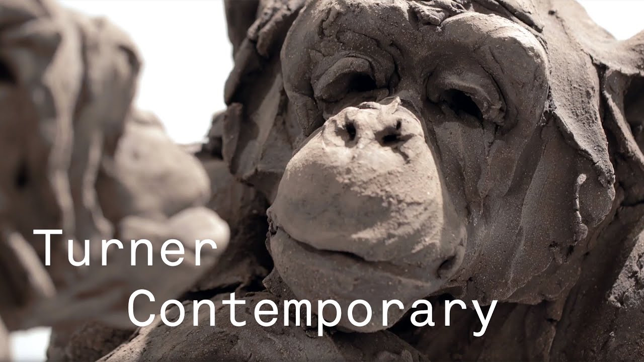 Discover The 'Animals & Us' Exhibition | Turner Contemporary