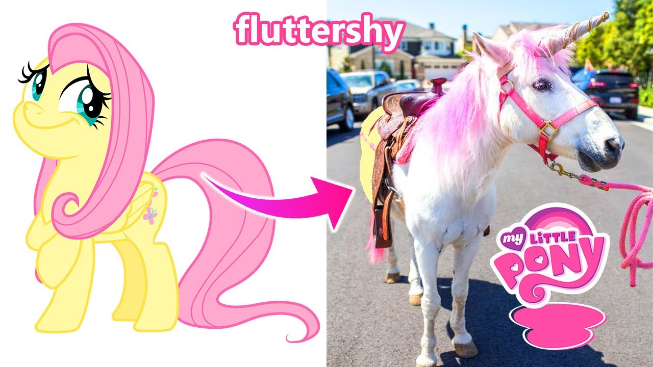 🦄 My Little Pony Unicorn Characters IN REAL LIFE NEW 2022 👉@sweetponylife 🌈😍