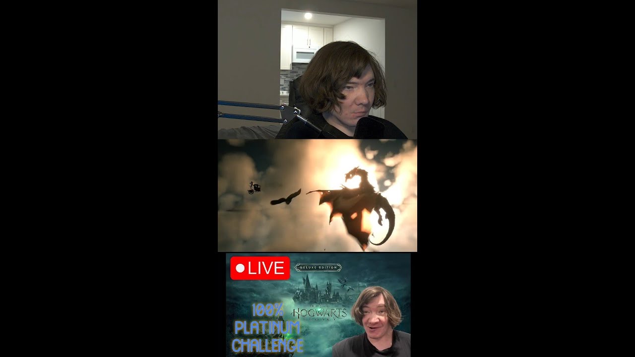 Hogwarts Legacy Live Portrait