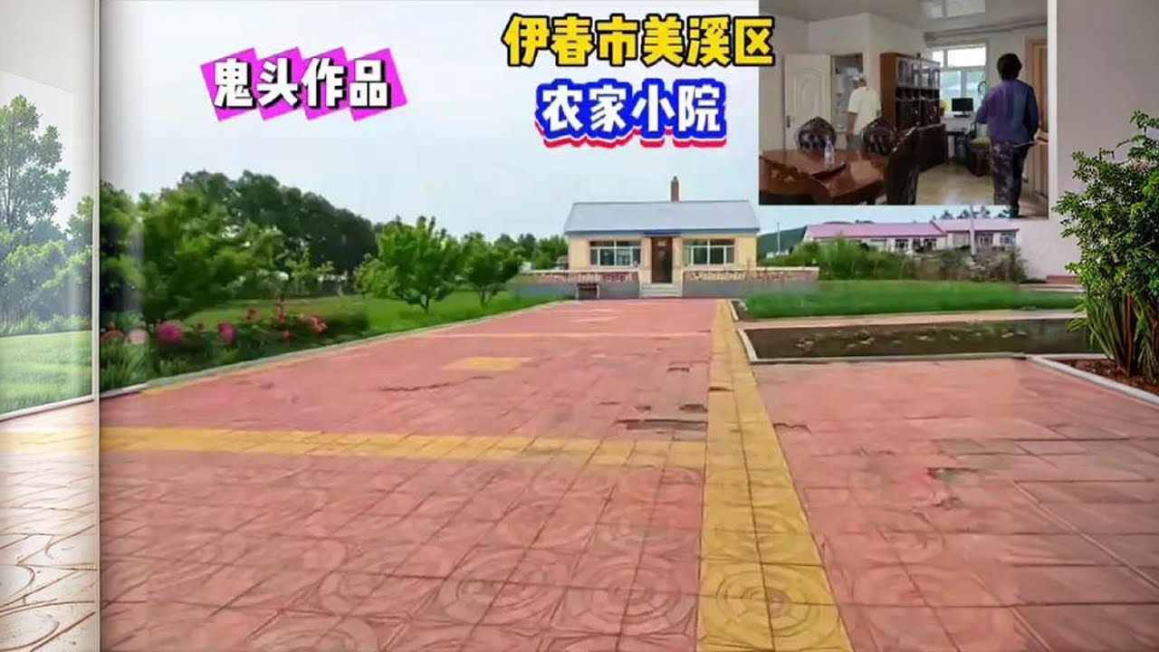 黑龙江省伊春市美溪区院内占地三亩地的农家小院鬼头实地探房 #房价#农家小院