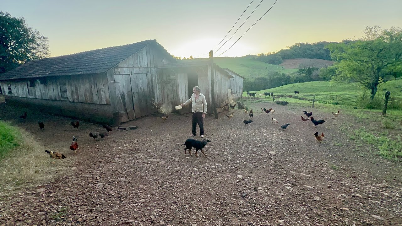 A vida no campo em Santa Catarina # A idade chega e j&aacute; n&atilde;o podemos fazer toda a lida&hellip;