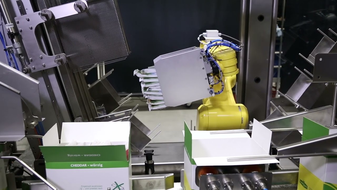 Selo   Case Packer Cheese