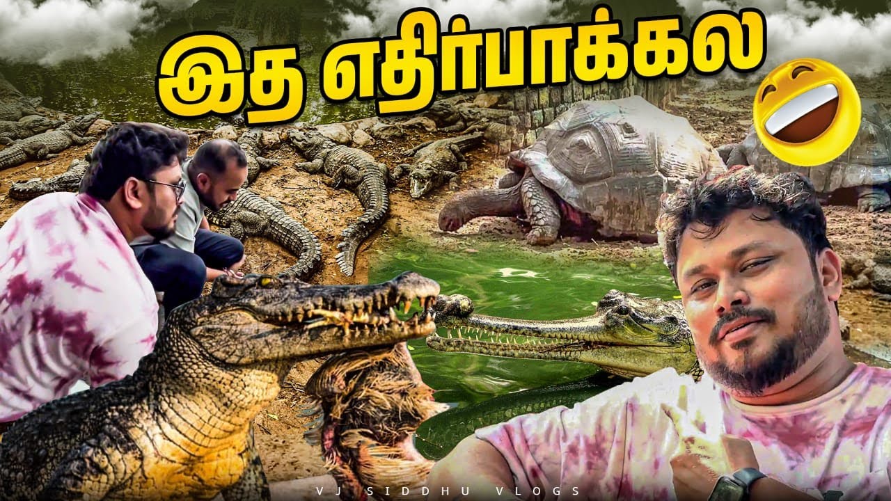 Ladies செருப்பு போட்டுட்டு இருக்கான் | Vj Siddhu Vlogs