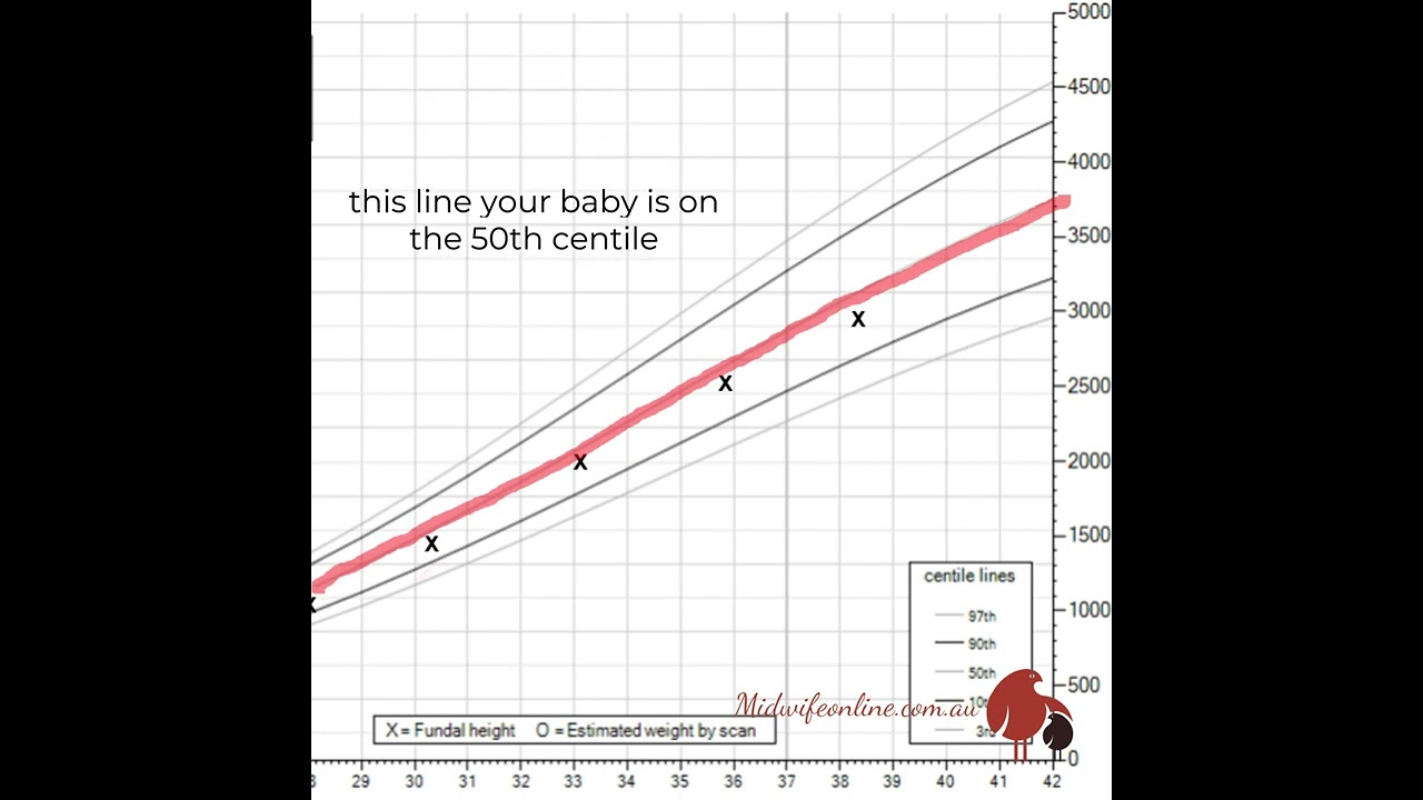 What does your baby's percentile actually mean