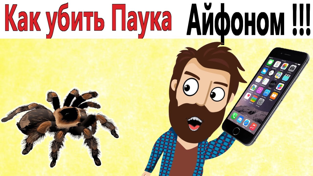 ПРИКОЛЫ! КАК УБИТЬ ПАУКА АЙФОНОМ!!! Угарные ШКОЛЬНЫЕ МЕМЫ, смешные истории от Доми шоу