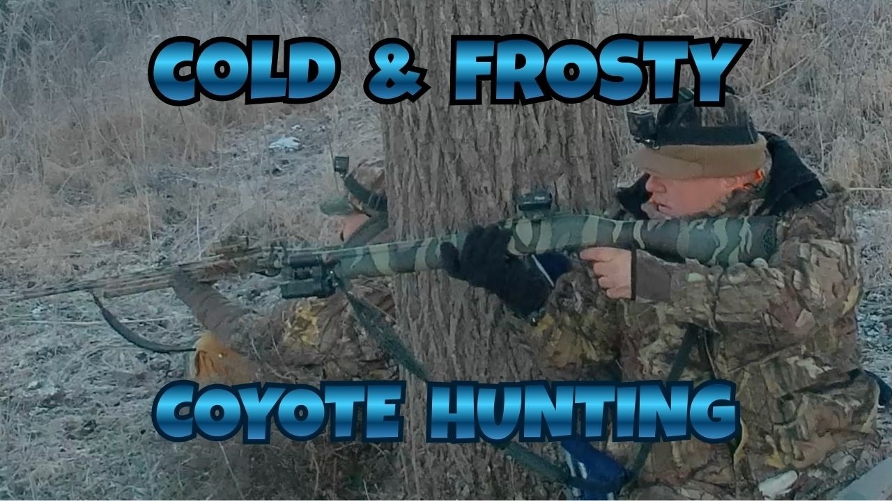 Winter Coyote Hunting in Cold & Frosty Conditions