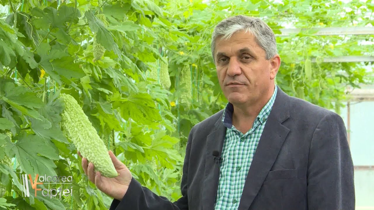 Preot și cercetător în legumicultură. Știința de a modela creația lui Dumnezeu (29 09 2018)