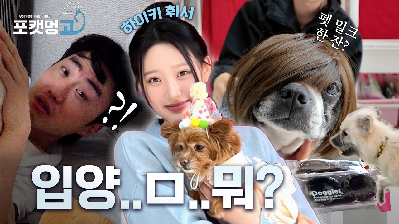 [EP.03] 포캣멍GO✨자고 일어났더니... 아이돌 휘서가 와 있었다?