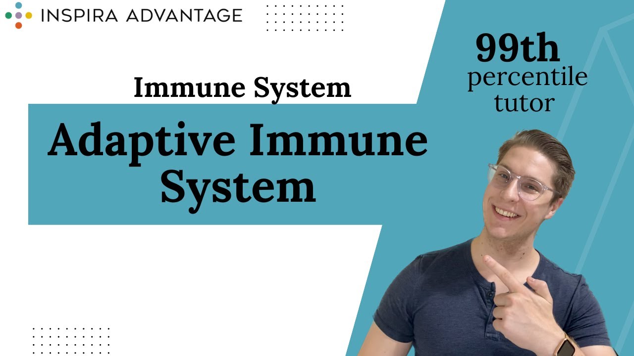The Adaptive Immune System | MCAT Crash Course