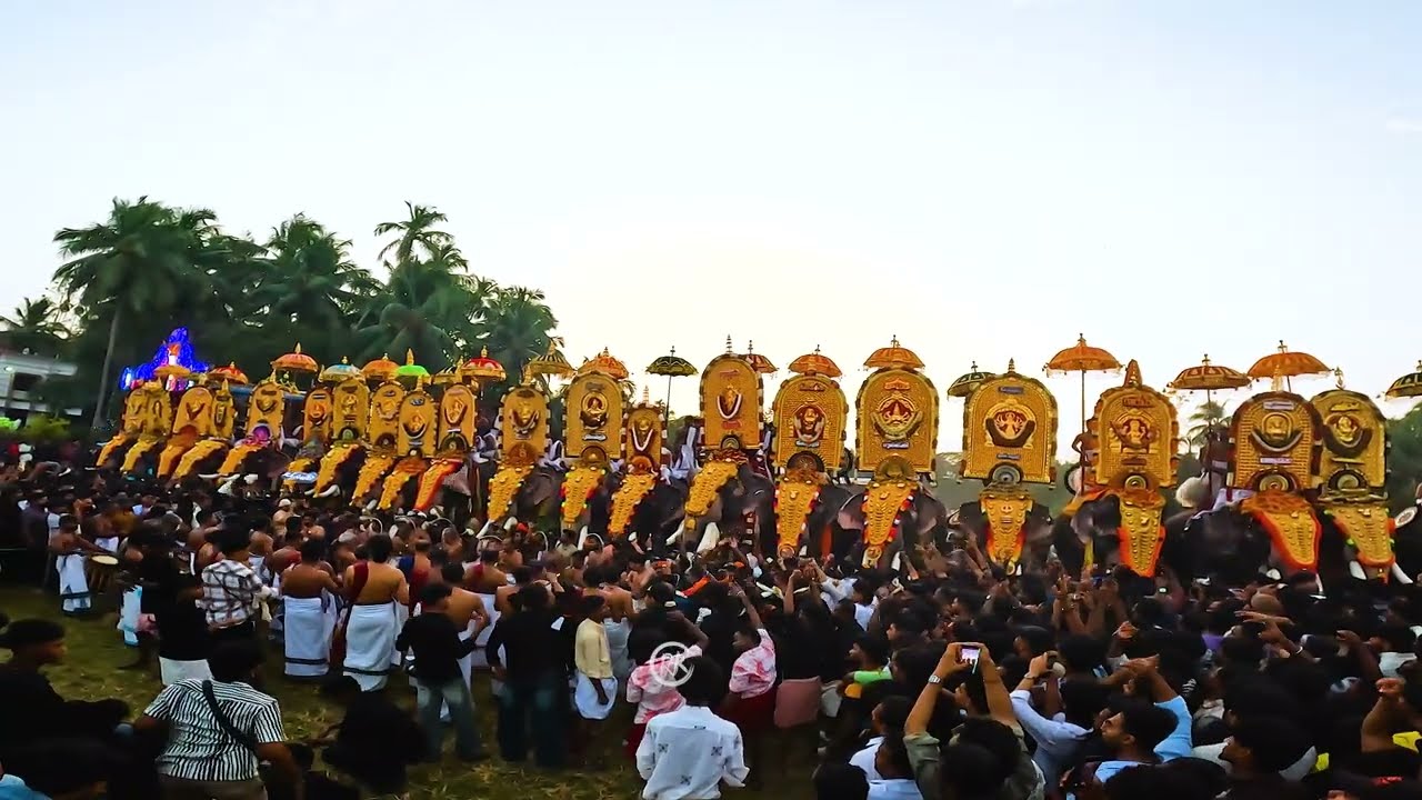Parkkadi pooram 2026 പാർക്കടി പൂരം kunnamkulam#2026 #kerala #shorts #shotsvideo #viral #viralvideo