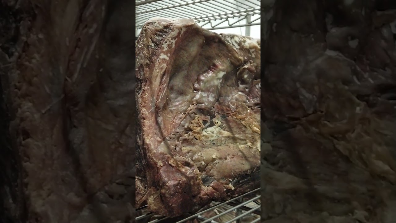 Dry-Aging Beef 😍 #meat  #beef #food #dryaged #dryagedbeef